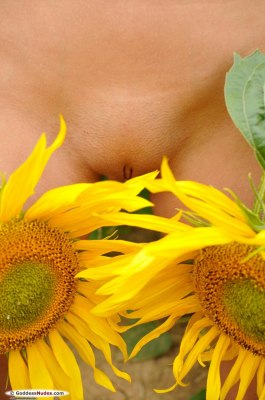 Zita 2 Goddess Nudes